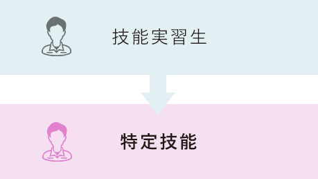 技能実習生→特定技能